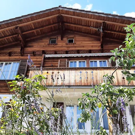 Cozy Chalet By Interlaken. Parking Ringgenberg Esterno foto