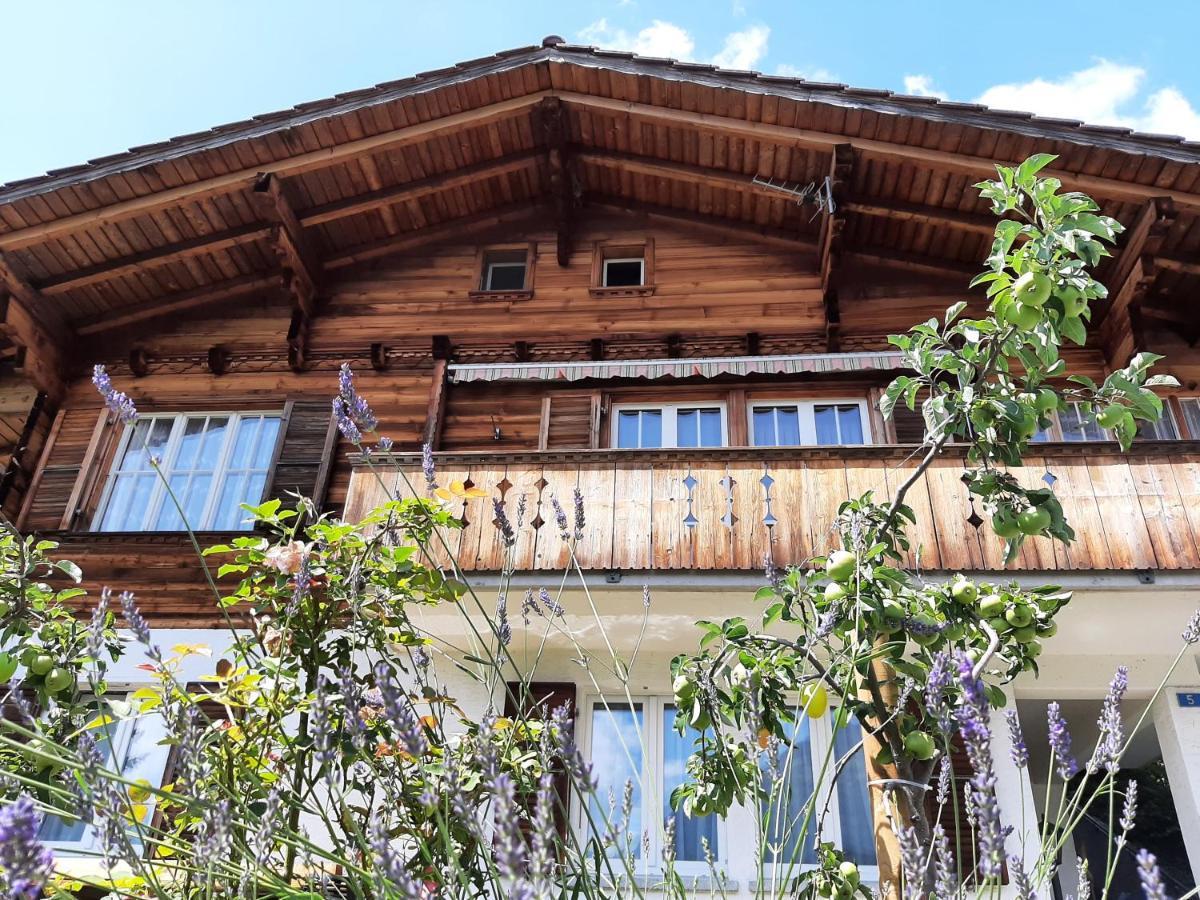 Cozy By Interlaken. Parking * Ringgenberg